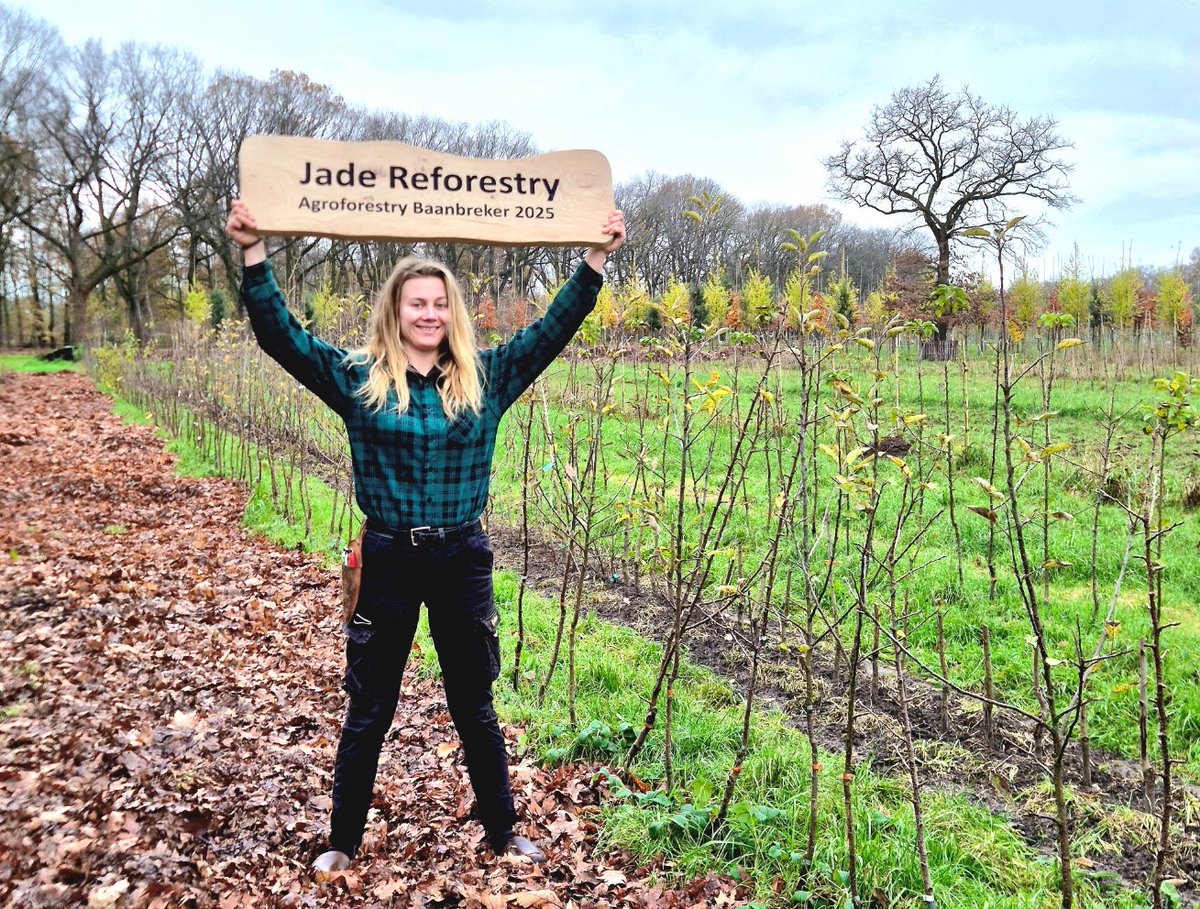 Het Groene Woud tweet media