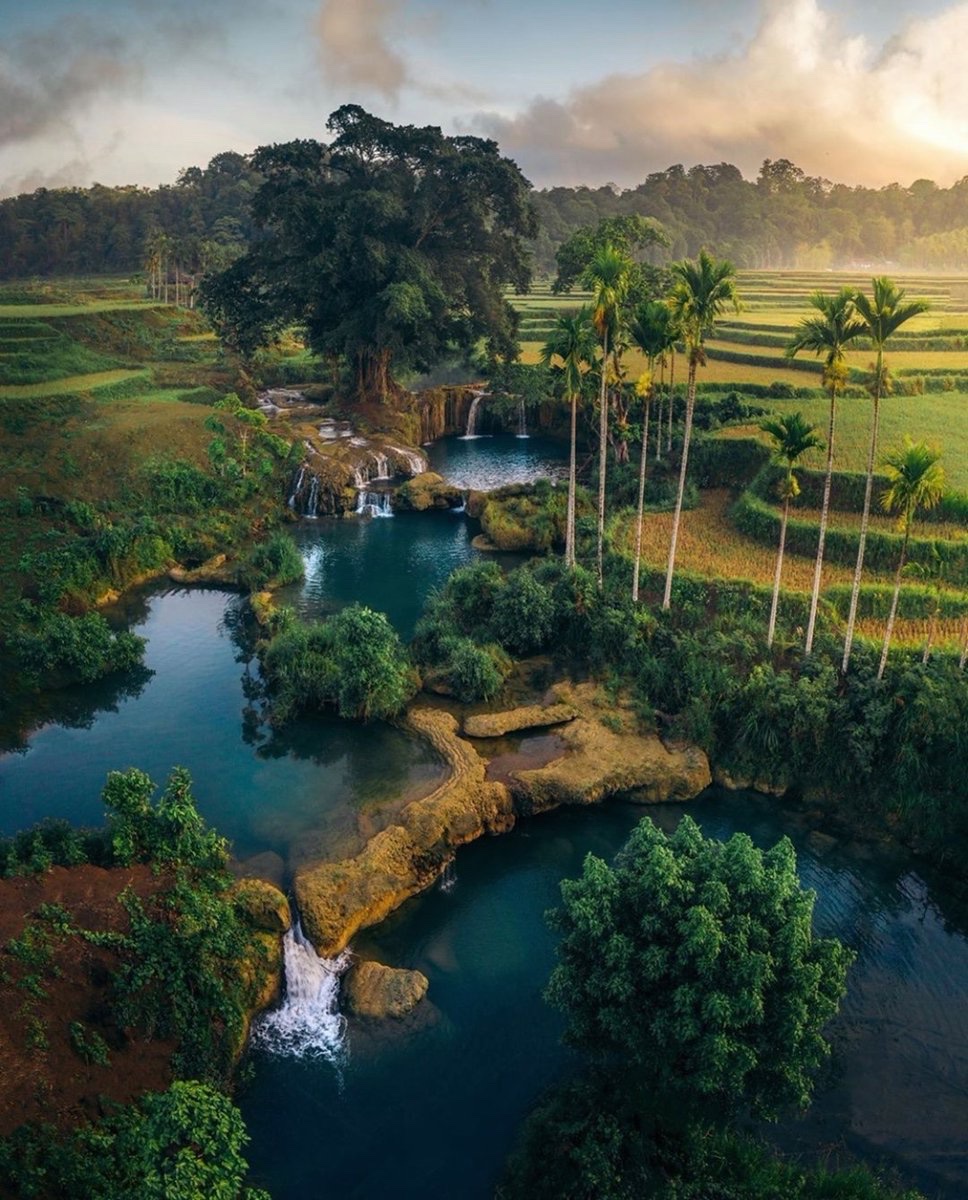 earthcurated's tweet photo. Sumba Island, Indonesia 🍃 https://t.co/vrcbgNgDJG