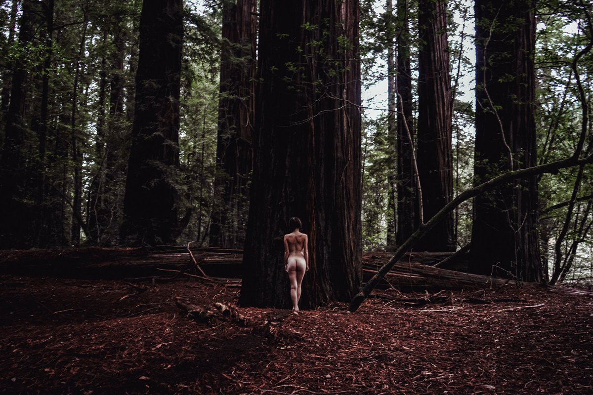 pauladrianmoon's tweet photo. A little bit of forest, a llittle bit of Redwood Trees and a little bit of nude.. 

Ft. @mmaddyjean

Sony A711
24-70mm lens
Lightroom CC
Near Crescent City, CA

#redwoods #redwoodtrees #california #northerncalifornia #photography.
#nudephotography. #nude #nudeinforest #hotgirls https://t.co/2xDJPIFCwG
