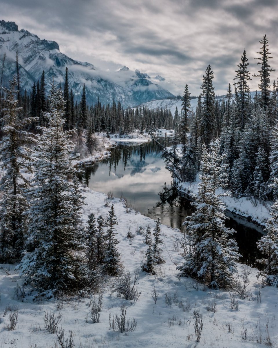 Dan the Man tweet media