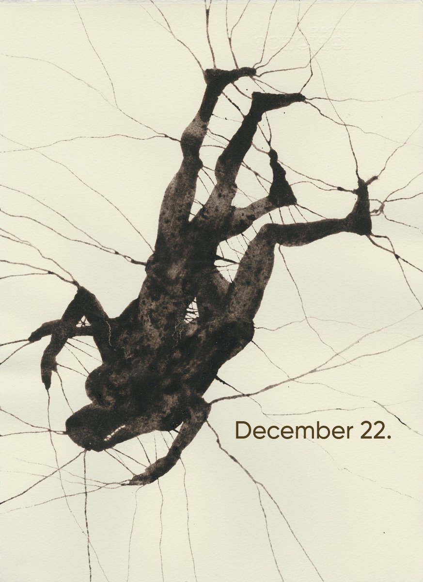 solisolsoli's tweet image. 