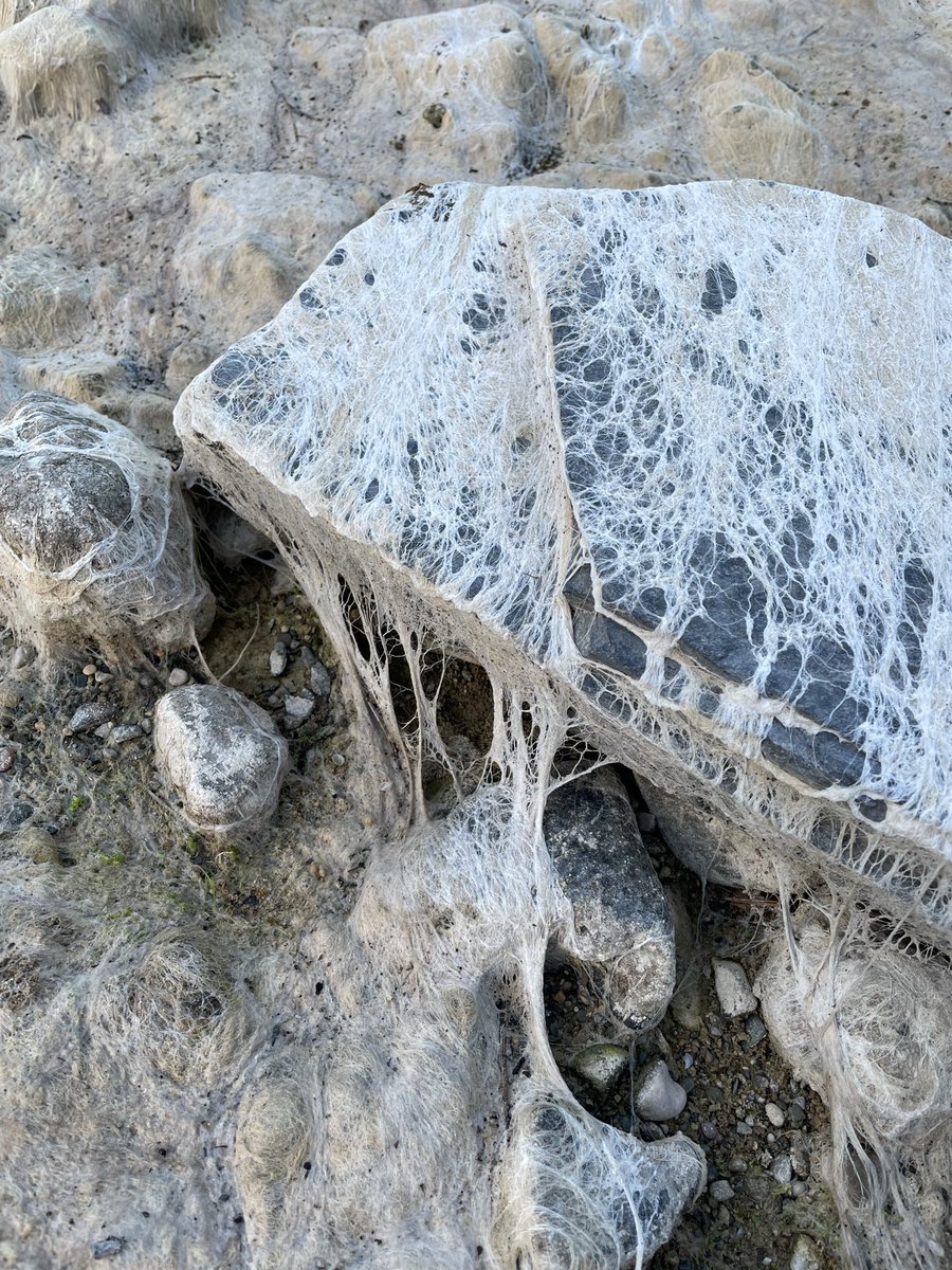 Perxe Priorat tweet media