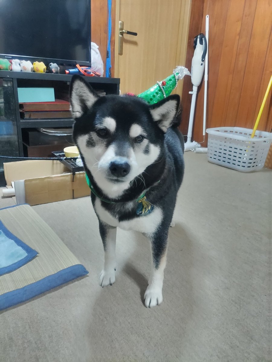 ジン クン (@20181225zin) on Twitter photo 