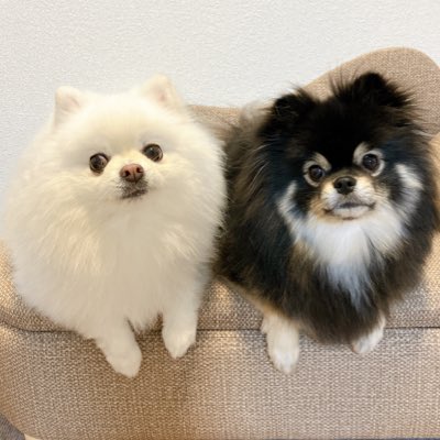 #新しいプロフィール画像