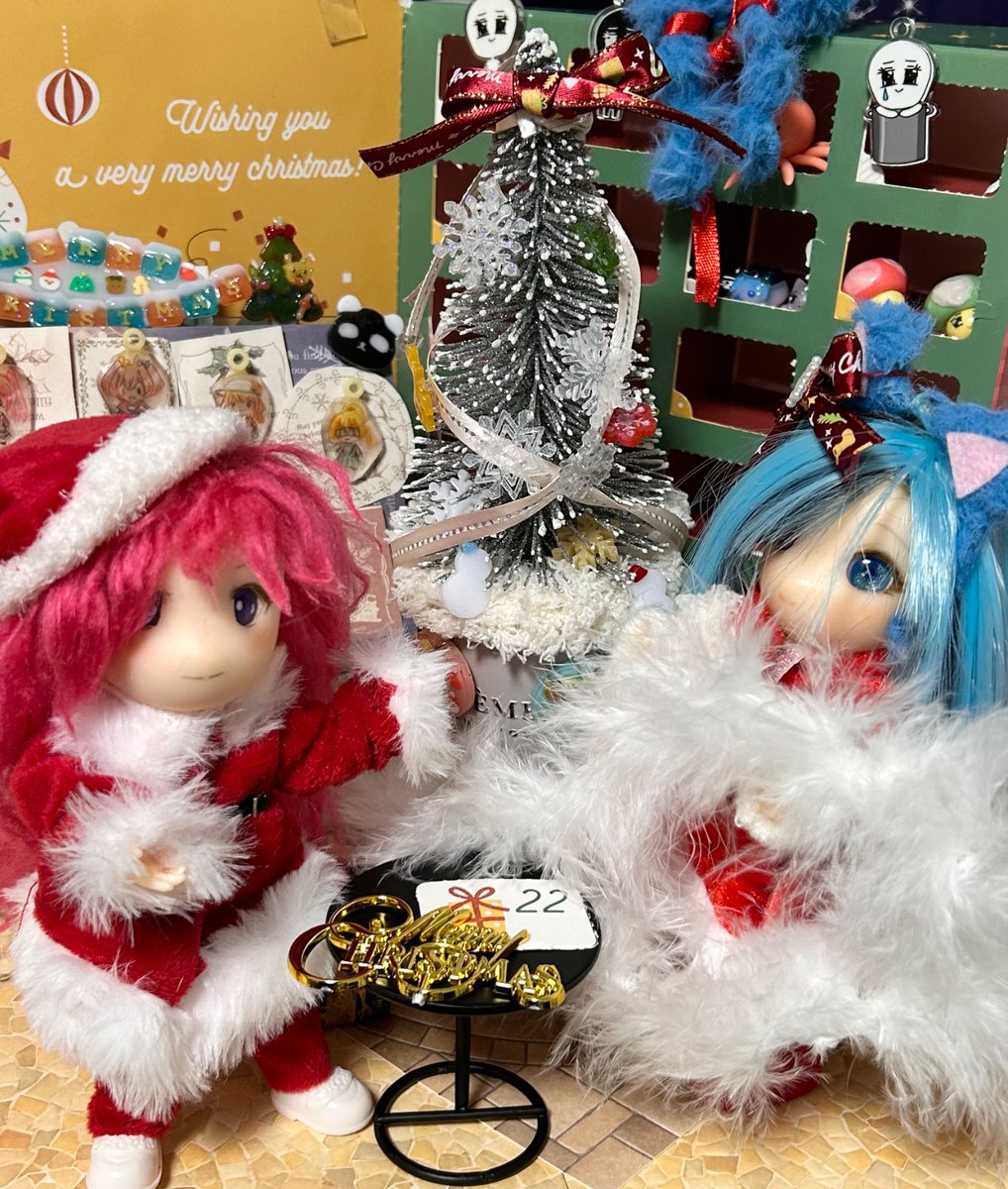 熊猫アドベントカレンダー 12/22】 今日はレイアサンタさんが メリー