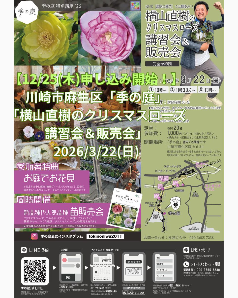 横山園芸 グリーンベインフラッシュ 開花株 現品 匿名発送 横山園芸_