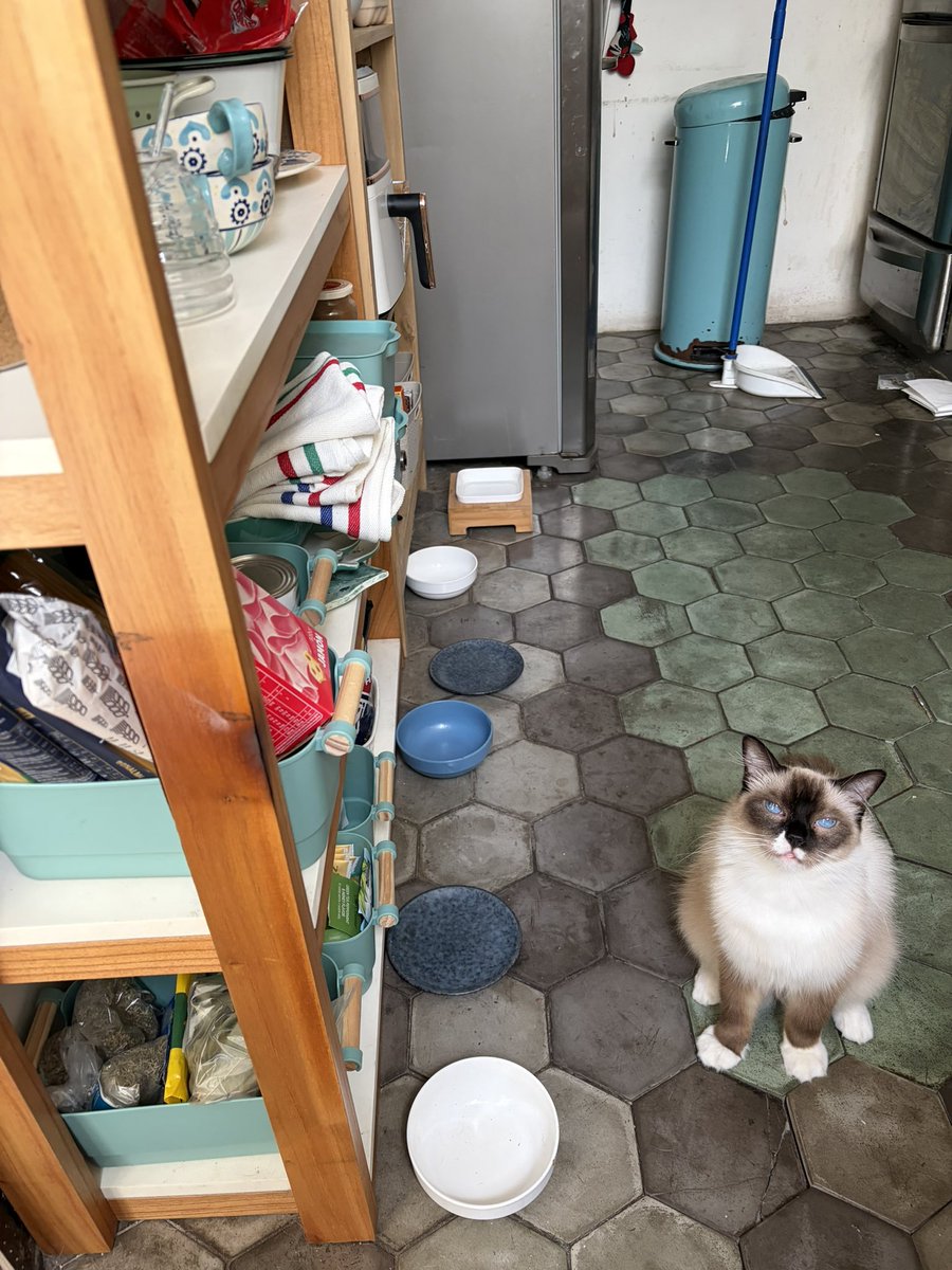 Dra rocks tweet media