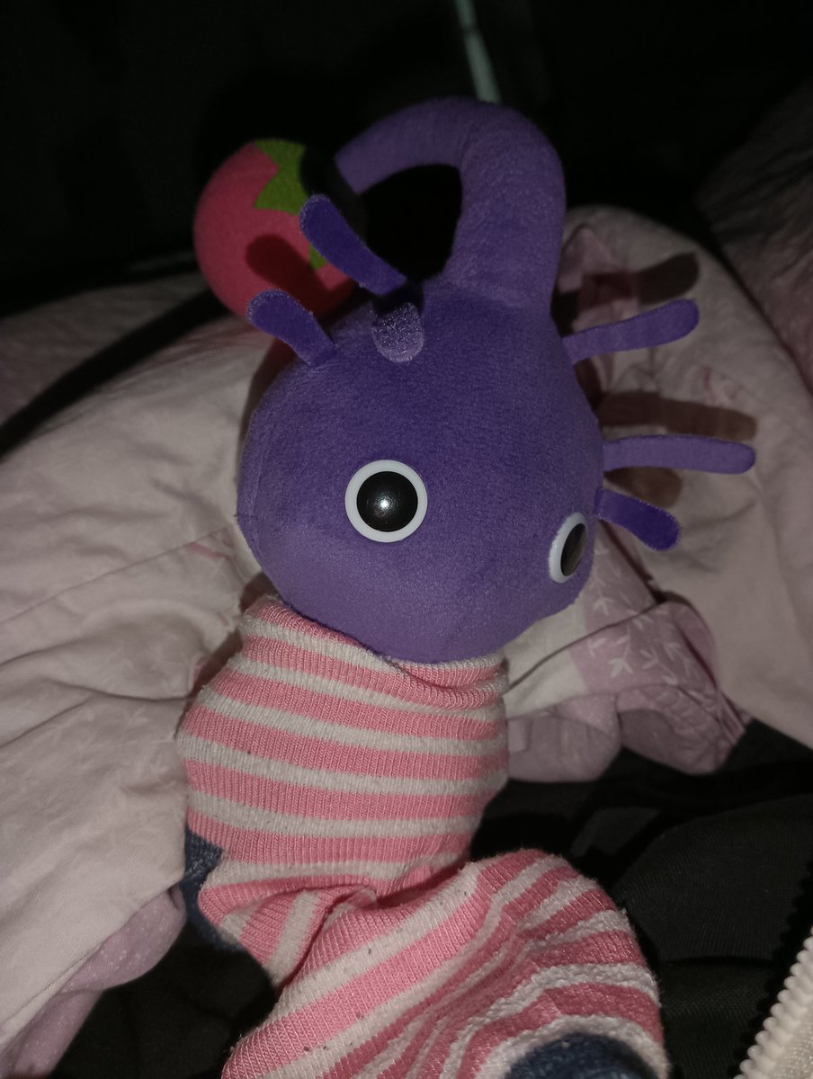 flyingfish024's tweet image. Haha, so cute!
#PikminBloom #Pikmin #PikminAR #pikmin4