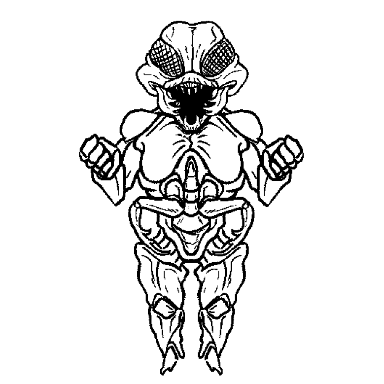 𝐒𝐇𝐑𝐎𝐎𝐌𝐘𝐂𝐇𝐑⸸𝐒𝐓 tweet media