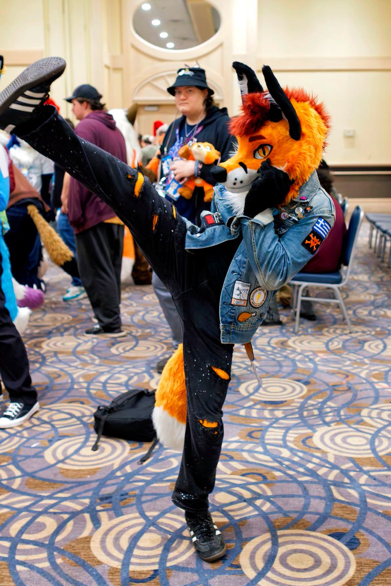 Hi! I am the scrungly-bungly. Do you need a high-energy therapy-animal-person? Or someone to exemplify and explain teh furry to the normies in your life? Well, I can help.