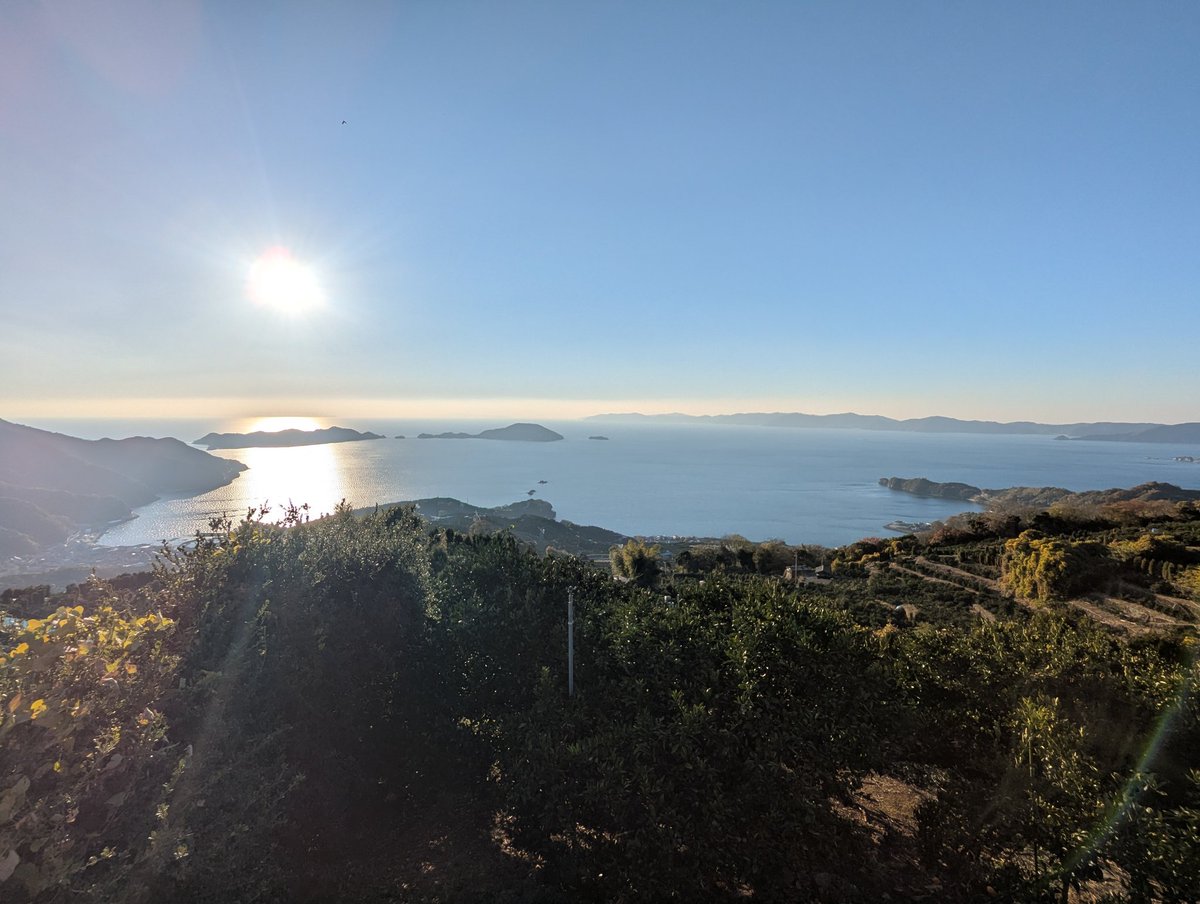 紅猫-あかねこ- (@Bl00dycat) / Posts / X