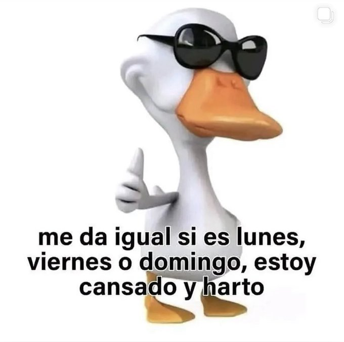 itsD3lay's tweet image. 