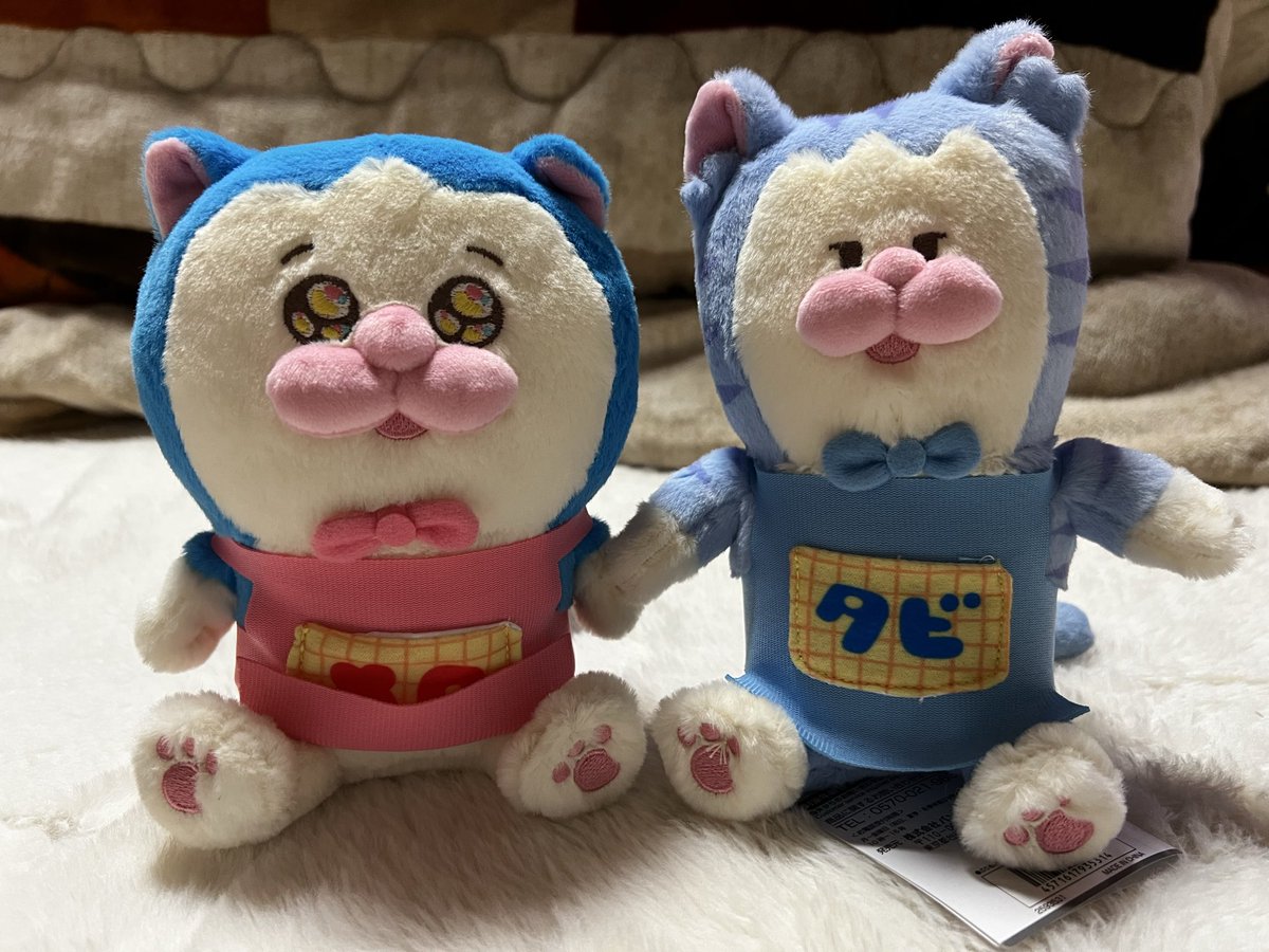 froken_snork's tweet photo. @mamekichirou まめちゃん、サイン会お疲れ様でした☺️
徳島から初の名古屋
まめちゃんと姉吉さんに会えて大感動でした🥺
おふたりともとっても可愛らしくて😍おふたりが話を盛り上げてくださって😊ますますファンになりました😍
また徳島に遊びに来てくださいね😊 https://t.co/8sZ07O8W4z