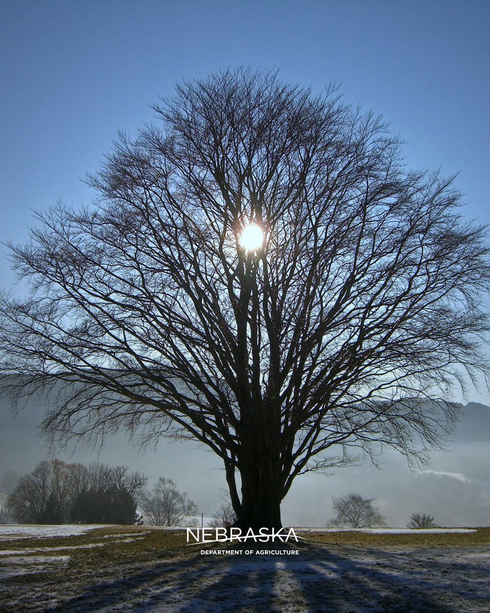 Nebraska Department of Agriculture tweet media
