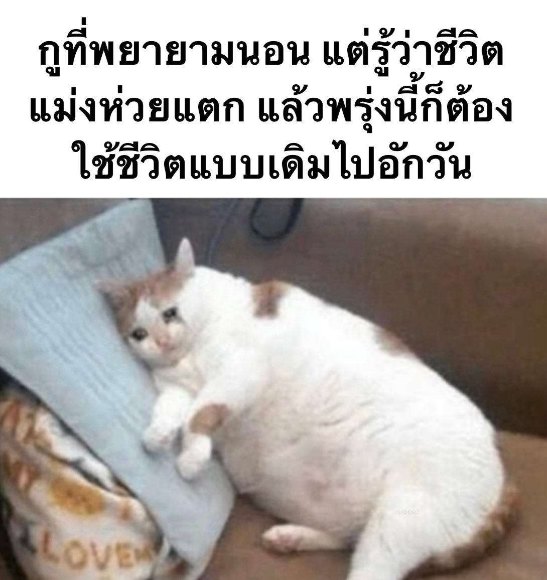 Mood ของกุในทุกวันๆ :