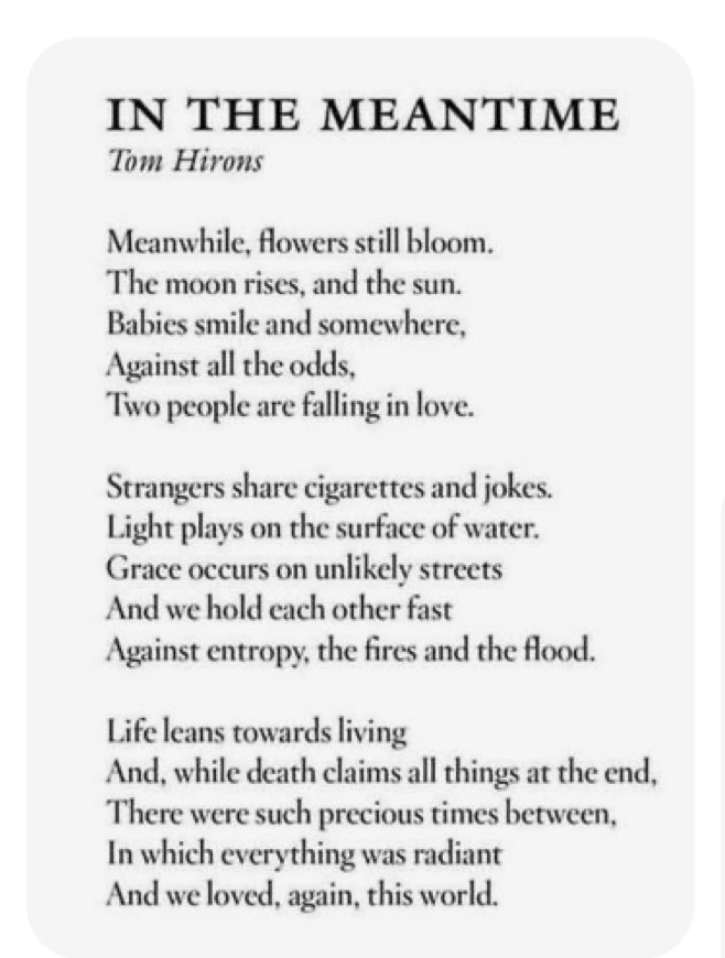 bloodsigns's tweet image. 