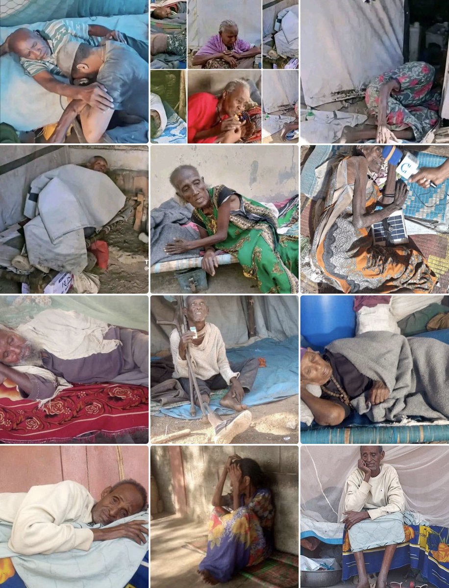 ባሕረፅዮን tweet media