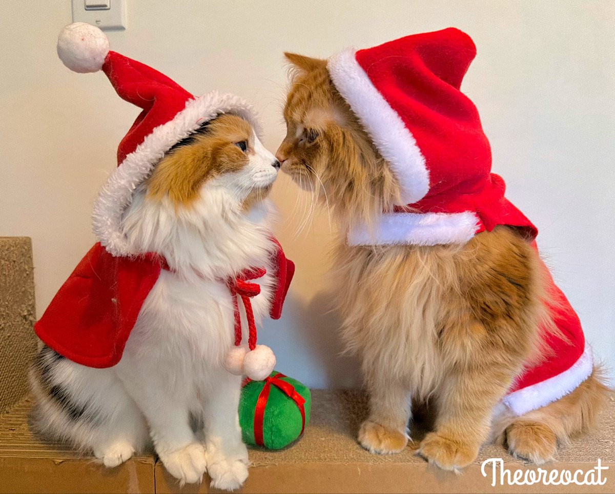 The Oreo Cat tweet media