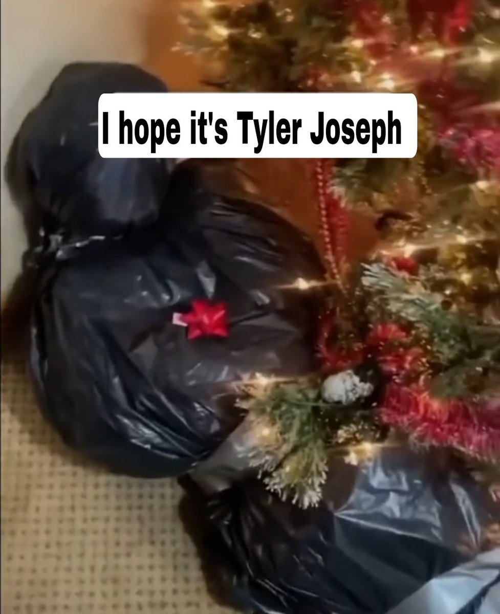 ScaledandIndy's tweet image. 