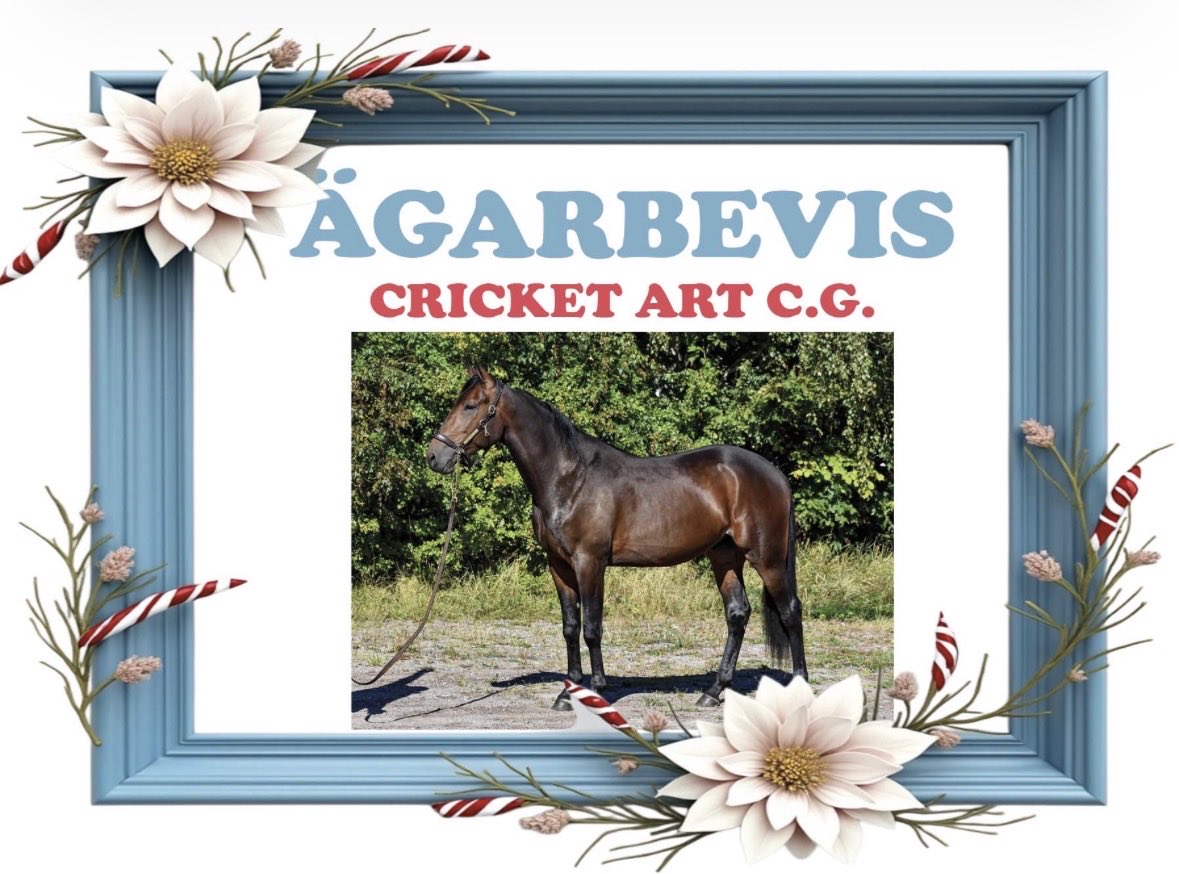 Lindeliwe's tweet image. Fick en andelshäst i födelsedagspresent!! 🥹 Heja Cricket Art C.G !! 🐴💘