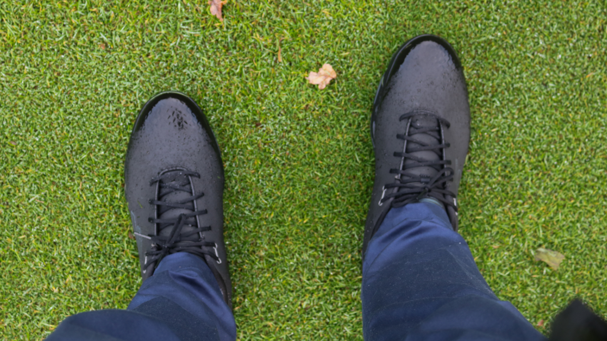 ADYGOLF's tweet photo. Our fantastic collection of #Skechers golf shoes 👉 https://t.co/AZdxmccWum https://t.co/dJuGUtyyuj