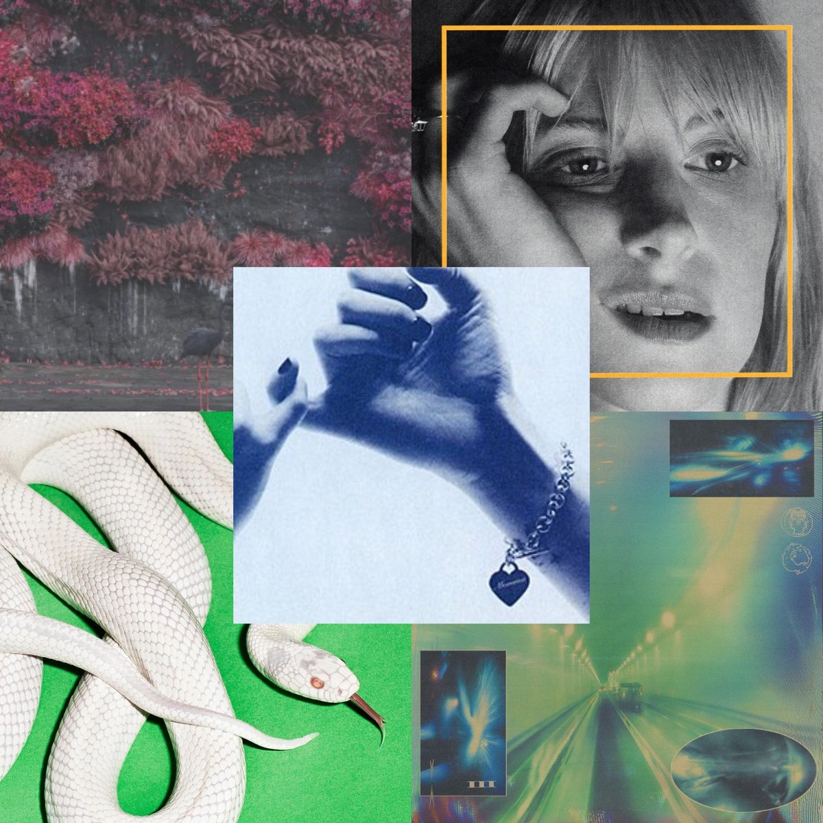 mruston's tweet image. Favourite albums of the year 2025

1. Momma - Welcome to My Blue Sky
2. Sleep token - Even in Arcadia
3. Hayley Williams - Ego Death At at Bachelorette Party
4. Deftones - Private Music
5. Pool kids - Easier Said Than Done