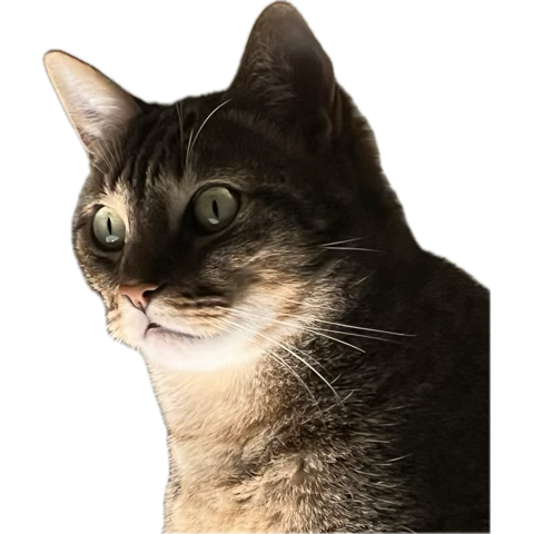 Dreamliner tweet media