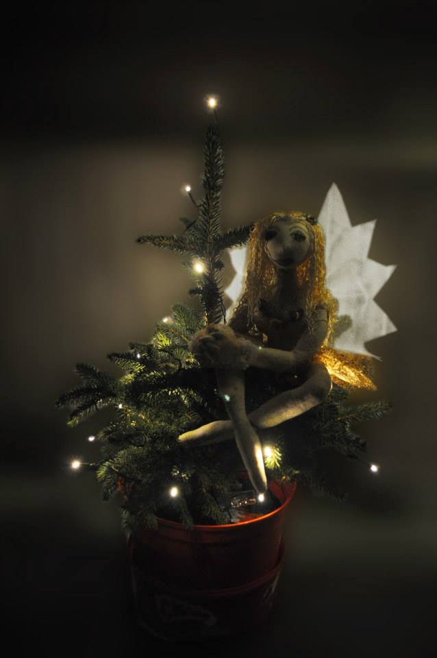 Daisy Shylass tweet media