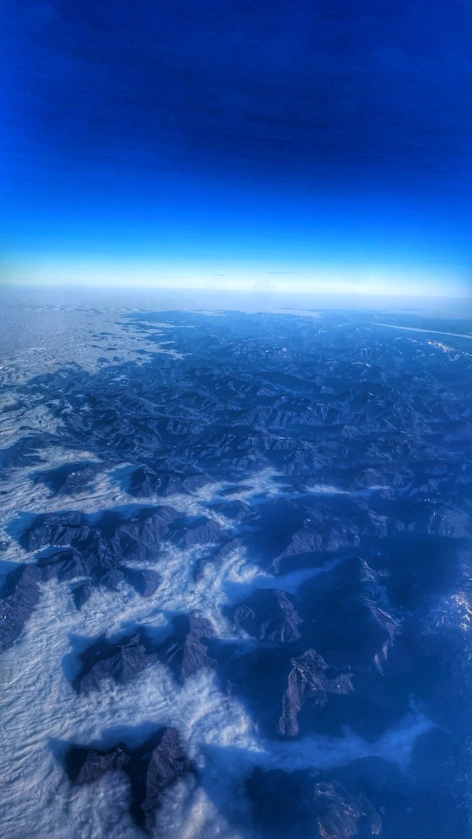 Papanomaly tweet media