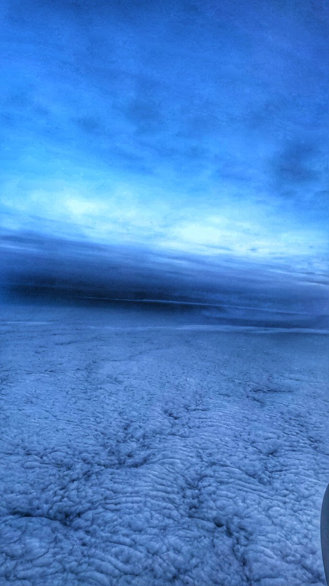 Papanomaly tweet media