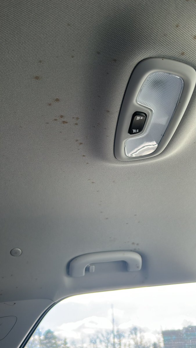 _TaviXn_'s tweet photo. Sooo my dad just got a rental….. @Enterprise what murder was committed in here?!
And why did the office said they cleaned this car?! https://t.co/yn5mk0UE0Z