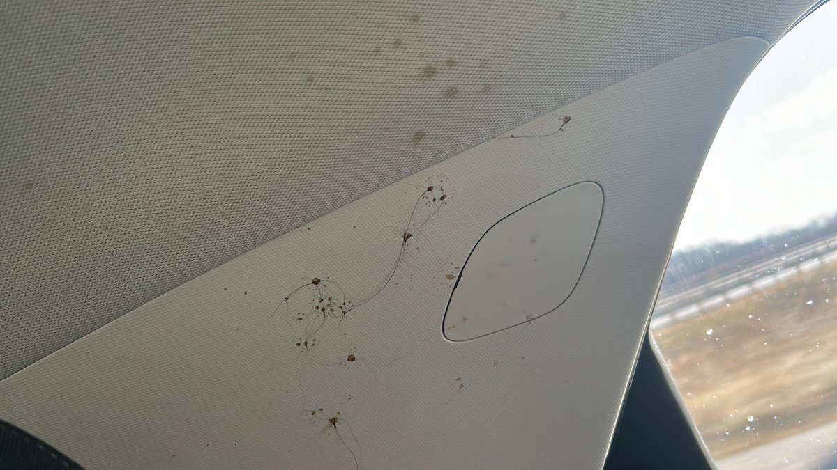 _TaviXn_'s tweet photo. Sooo my dad just got a rental….. @Enterprise what murder was committed in here?!
And why did the office said they cleaned this car?! https://t.co/yn5mk0UE0Z