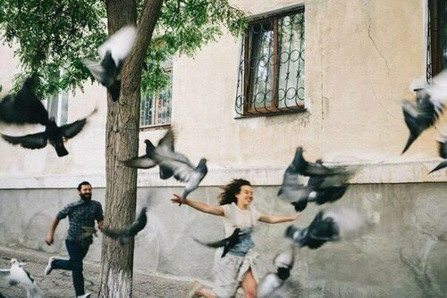 poetical photos. (@poeticalphotos) on Twitter photo 