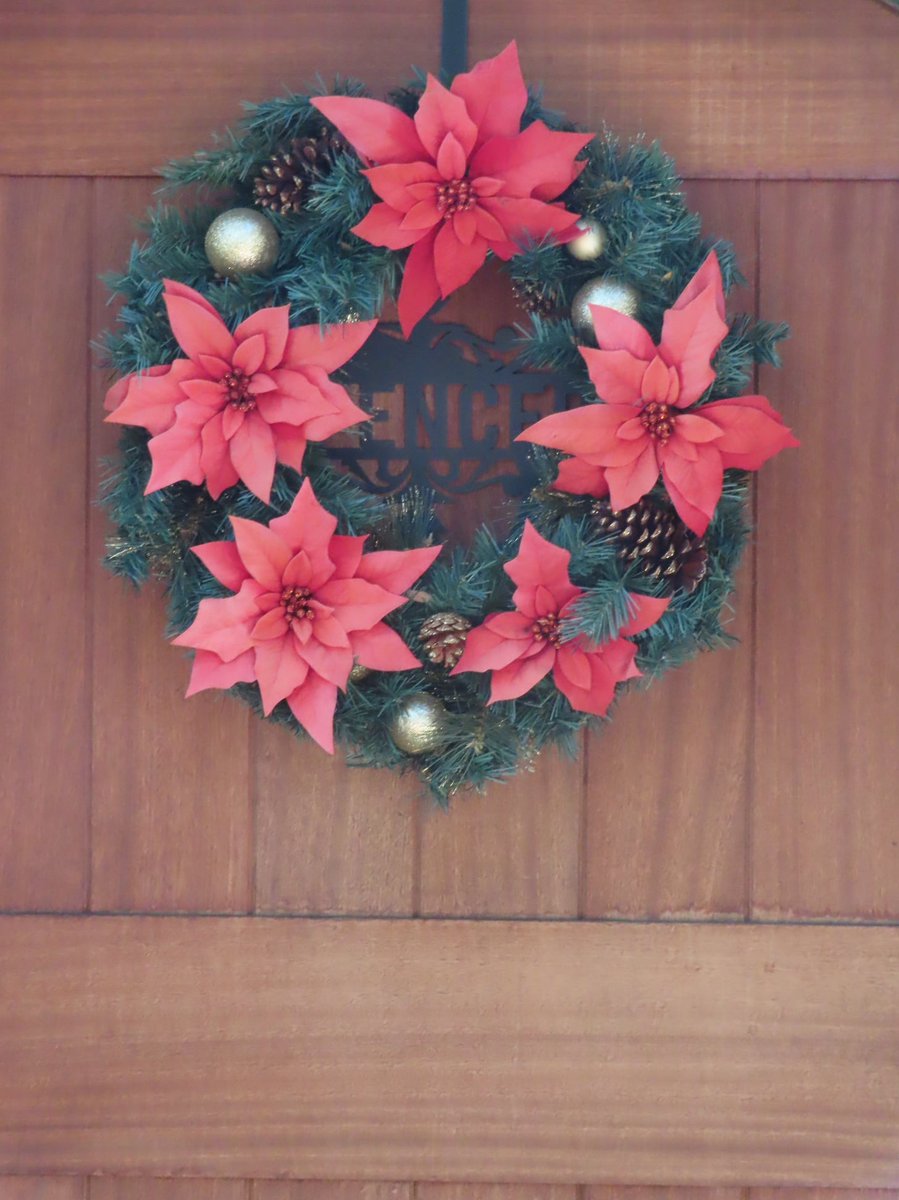 AutomateRiches's tweet photo. Happy Holidays! https://t.co/75BeRSQFZS