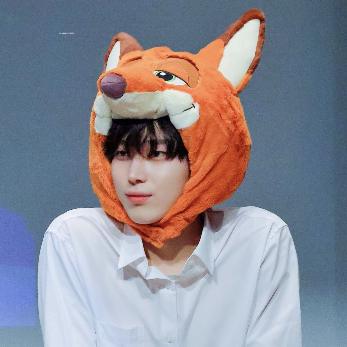 dumb bunny                         sly fox