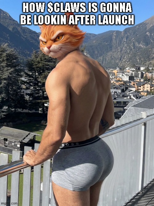 Launch time is approaching, only very few hours left🥂 
The hunt has been tough for you hunters, so the cat drops one last hint: PASTE
Find the hiddencode: santaclawsofficial.com

For the final 2 spots... MEME CONTEST TIME! Who's got the best $CLAWS memes? The cat starts:
Your