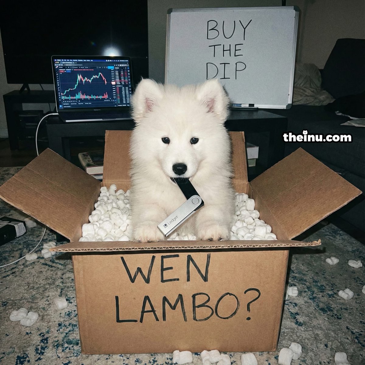 INU. tweet media