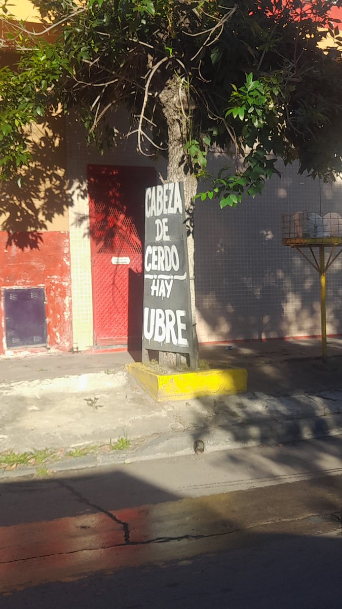 turfmanARG's tweet image. Quien carajo come #ubre?
Como se hace?
Es rica?
Alguna receta buena?