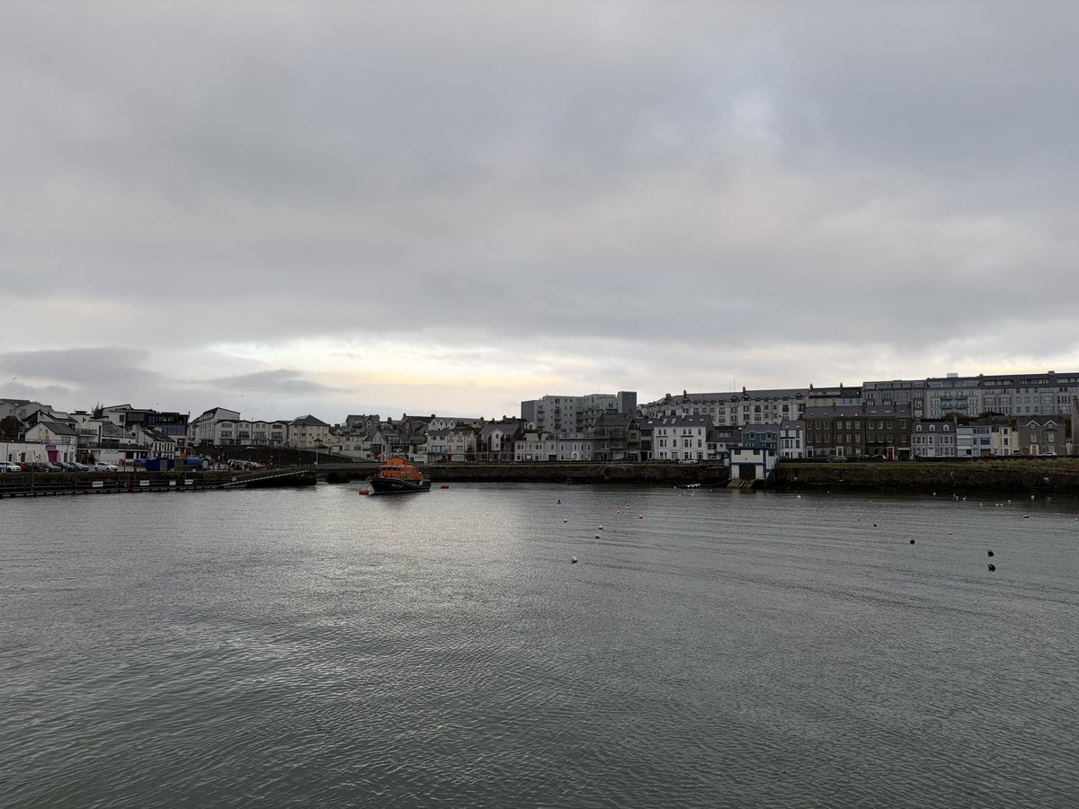 Tweeter of Wit tweet media