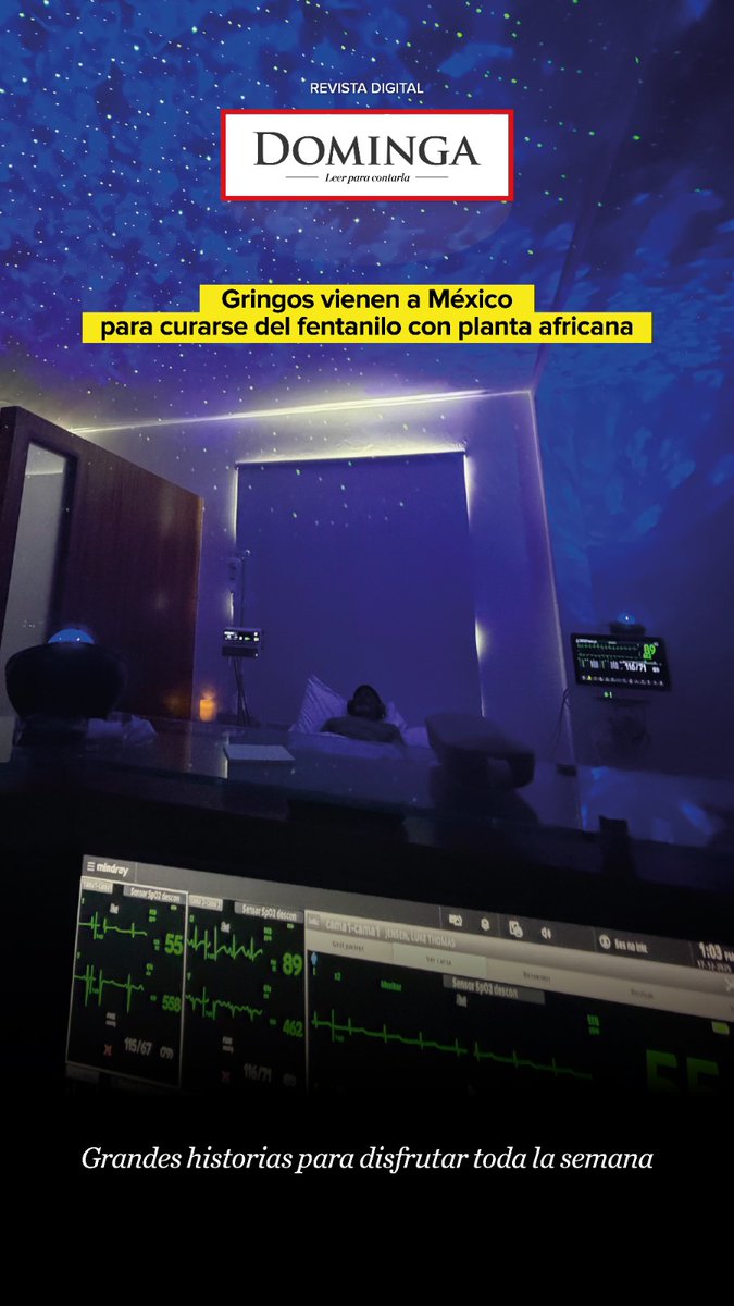 Revista Dominga tweet media