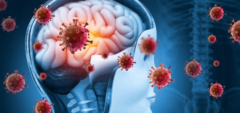 حتى بعد التعافي.. هذا ما يفعله كورونا بالدماغ 