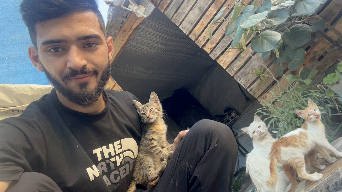 Hunger is consuming our bodies and the bodies of the animals we are trying to save. 😩😿💔 We at the shelter are facing a true emergency🚨😞🆘💔‼️, and we need your help more than ever.🙏😭🫂🆘🐾🫶🏻 Every day that passes, hearts weaken and the need increases.🥹💔 The dogs and cats