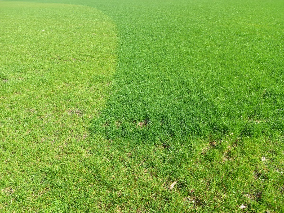 De reikwijdte van mest in het land is nog geen 5 cm.  Daarom is de gehele discussie over brede bufferstroken bij evenwichtige bemesting een overbodige.