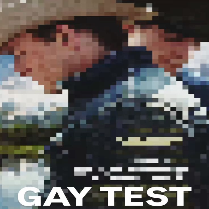 acervo brokeback mountain tweet media