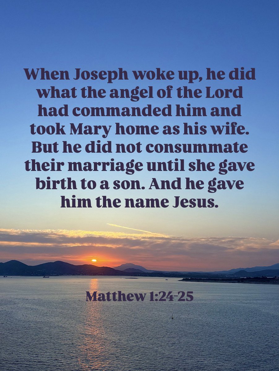 courtneyknill's tweet image. happy sunday 🎄