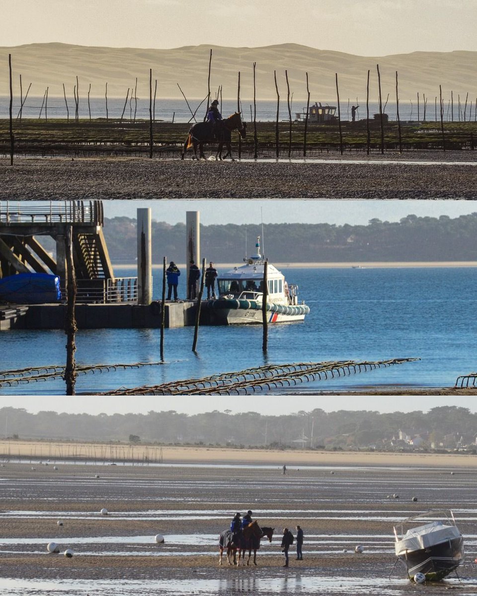 Gendarmerie's tweet image. #ÀVosCôtés 🤝 La @Gendarmerie_033, la Brigade Nautique et la @GardeRepFR
unissent leurs forces dans le cadre du plan Huître. 🦪
Leur objectif ? ⤵️
Être au plus près des ostréiculteurs et veiller à la sécurité des exploitations, de jour comme de nuit. 🫡