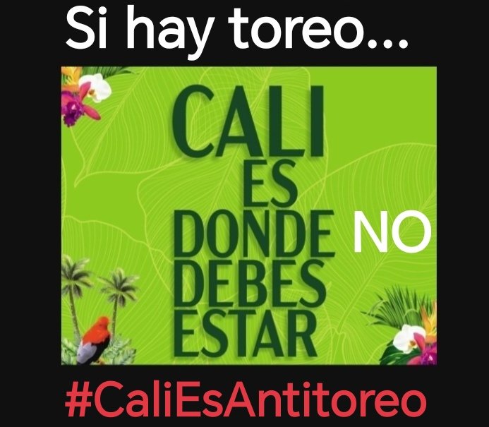 COALA - Colectivo Antiespecista Libertad Animal tweet media