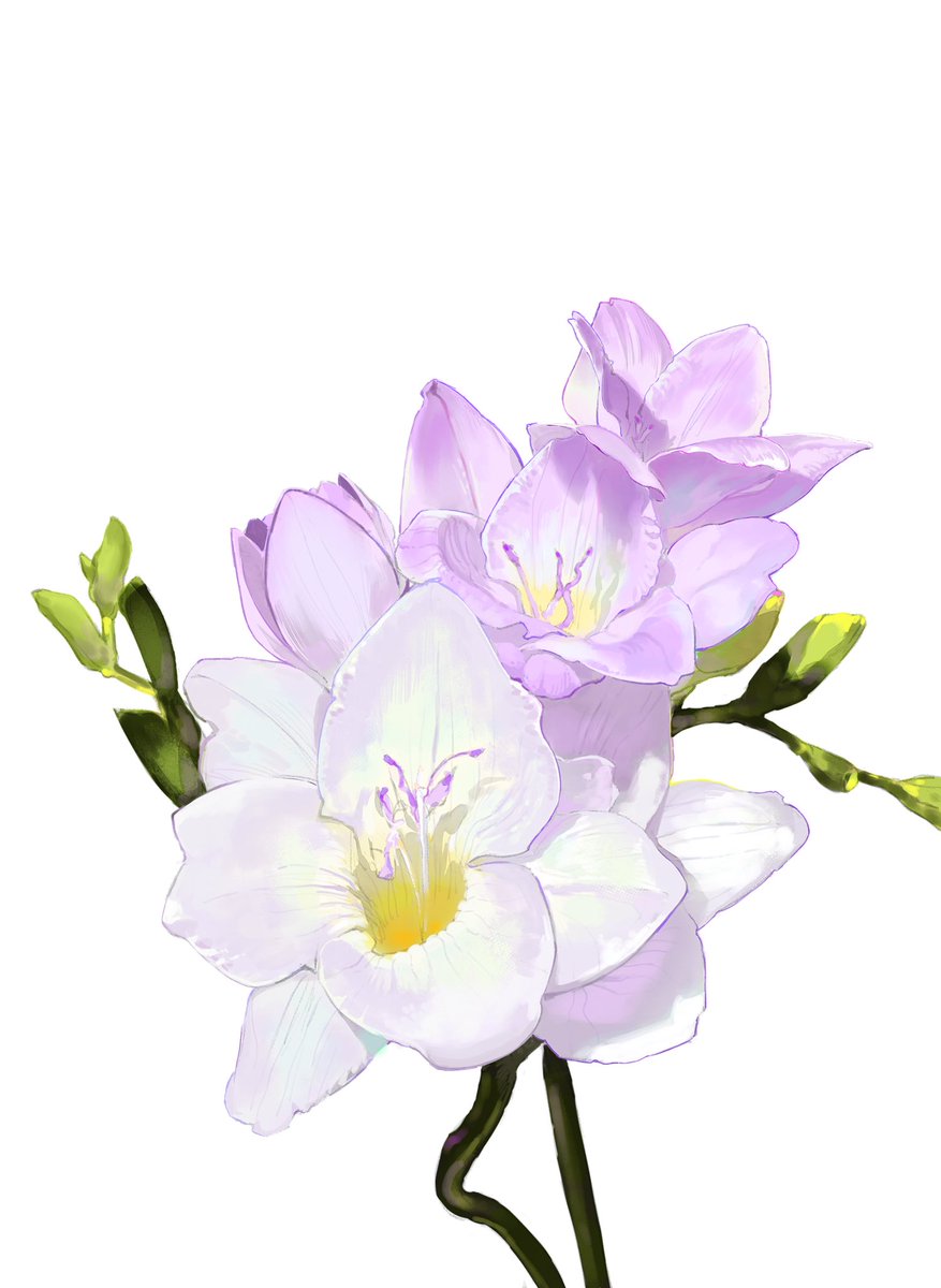 琉·璃·影 tweet media