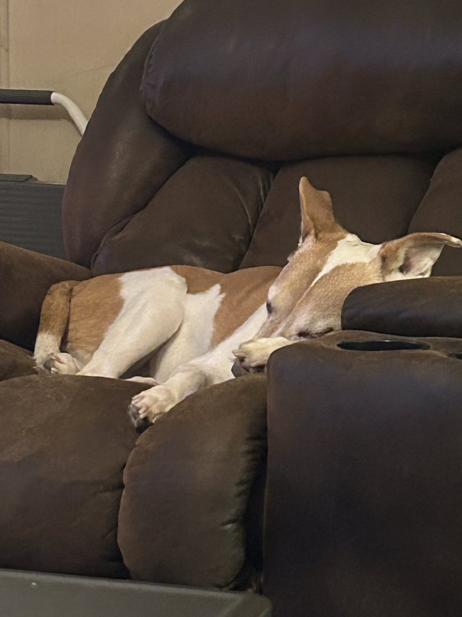 CkirkChris's tweet photo. @Puppieslover https://t.co/iKIUGus7Wm