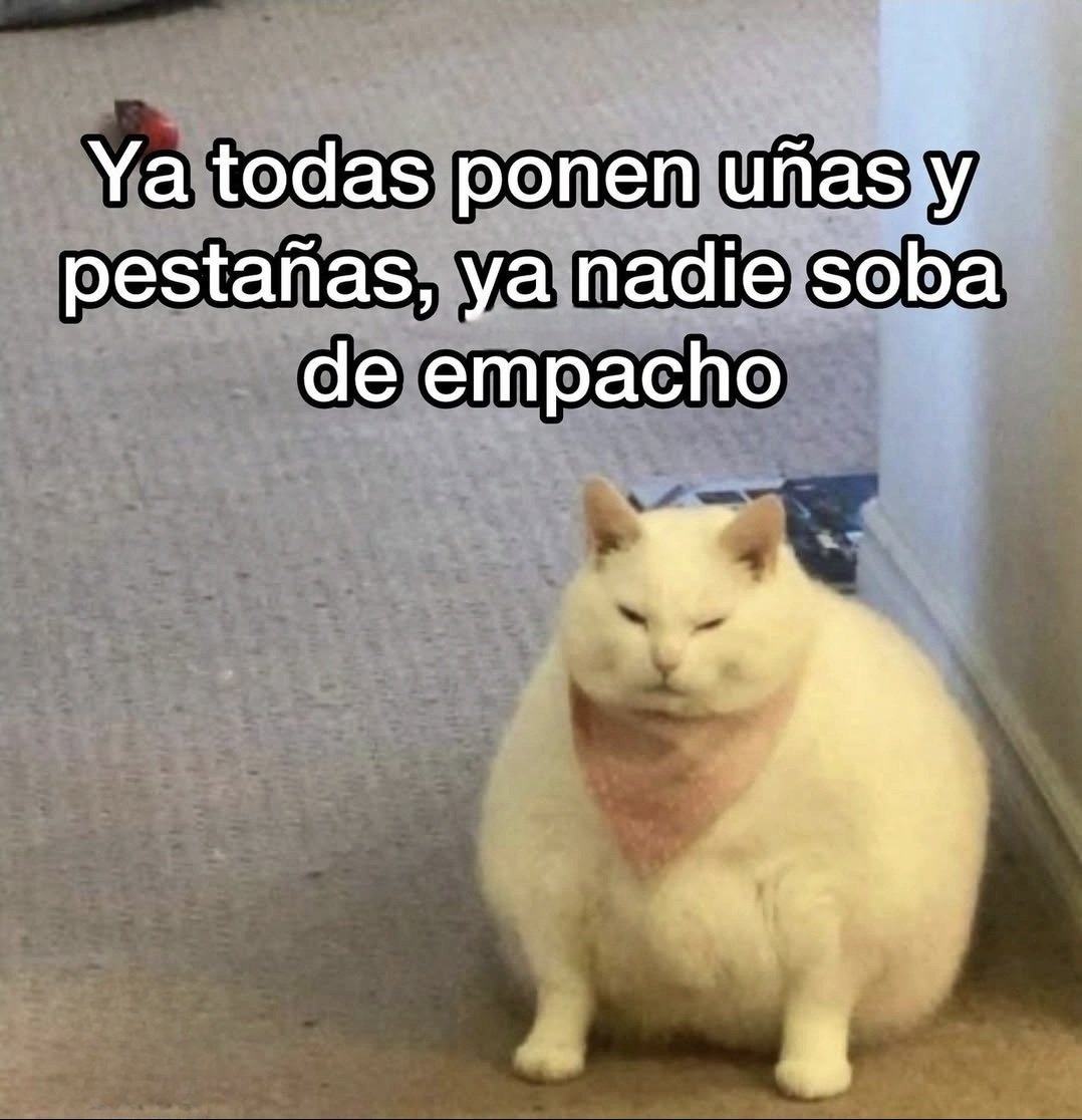 Escritos tweet media